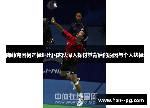 陶菲克因何选择退出国家队深入探讨其背后的原因与个人抉择